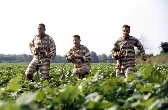 推荐几部让人笑到神经病的电影,推荐10部能笑成神经病的电影