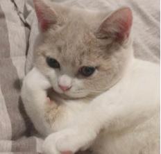 头发只掉不长什么原因用什么药,秃头头发大把掉怎么办