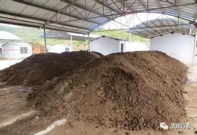 鸡粪不发酵直接上地里的危害,没发酵的鸡粪有什么危害