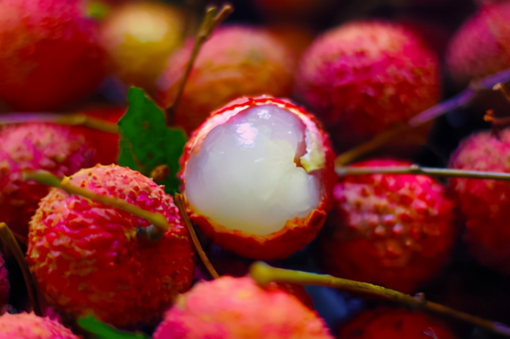 夏季遇到这碱性水果别错过,含碱性高的食物和水果蔬菜有哪些