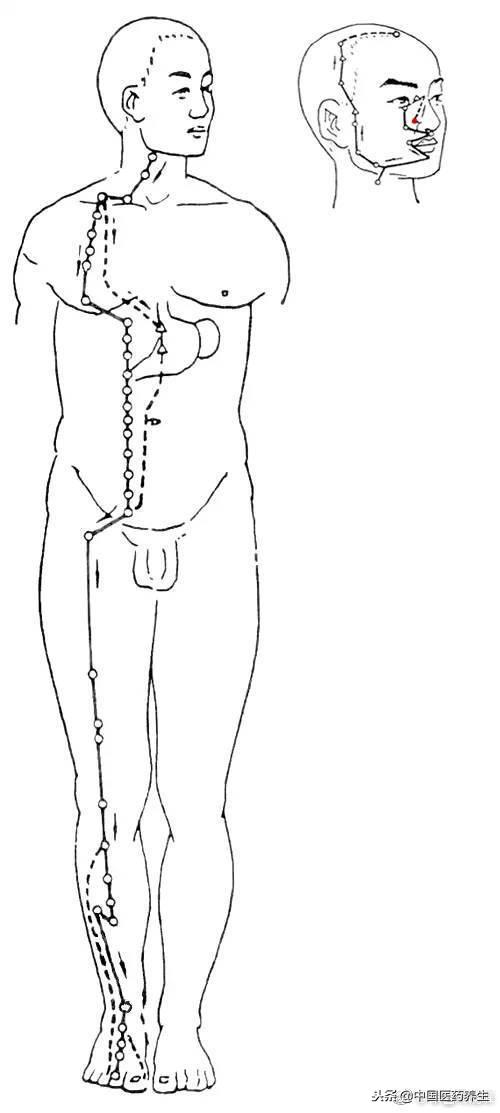 12经络对应12时辰走向图讲解,人体12经络走向位置图详解