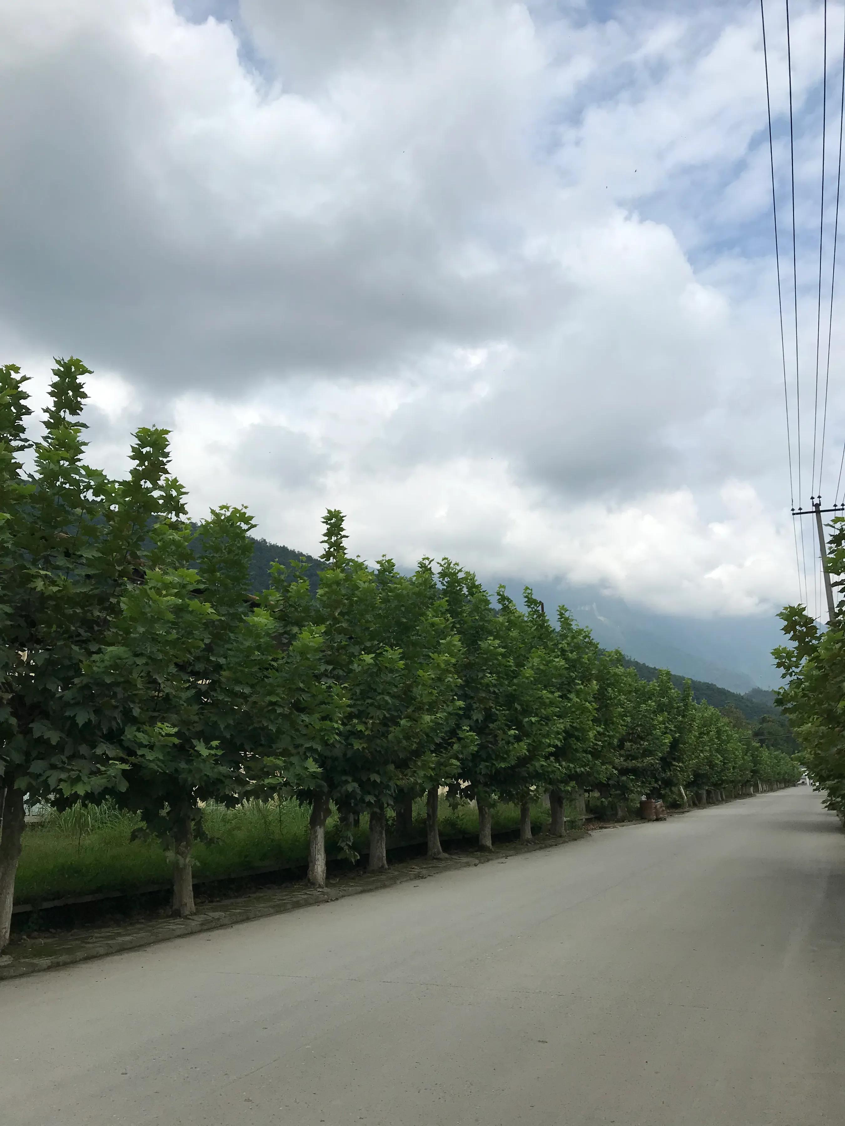 山远近路横斜读音,山远近路横斜青旗沽酒有人家意思