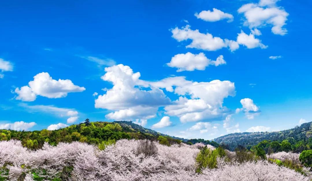 如果2月可以畅快出行,我真想走遍国内这9个地方