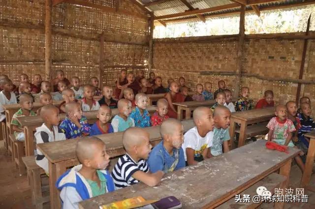 缅甸历史文化全过程,缅甸的奇闻