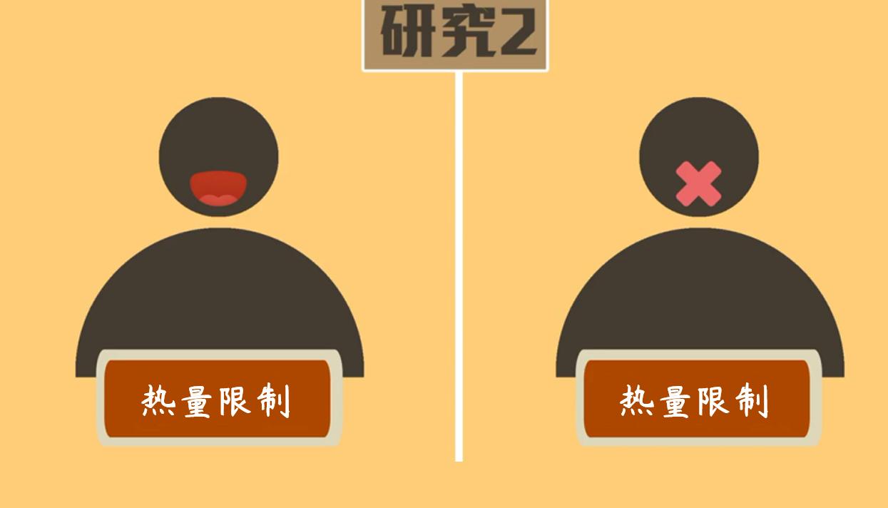 减肥过程中能不能偶尔吃宵夜,减肥晚上吃宵夜了怎么补救