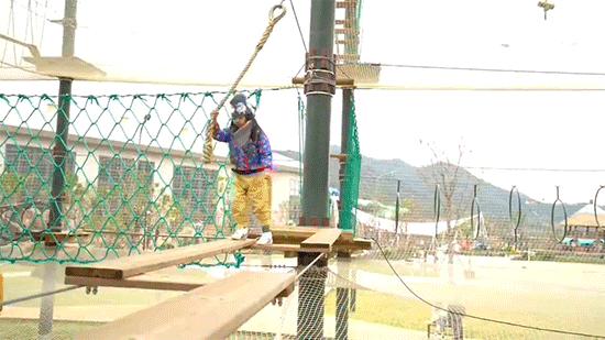 开元森泊酒店投资金额,开元森泊反物质行动