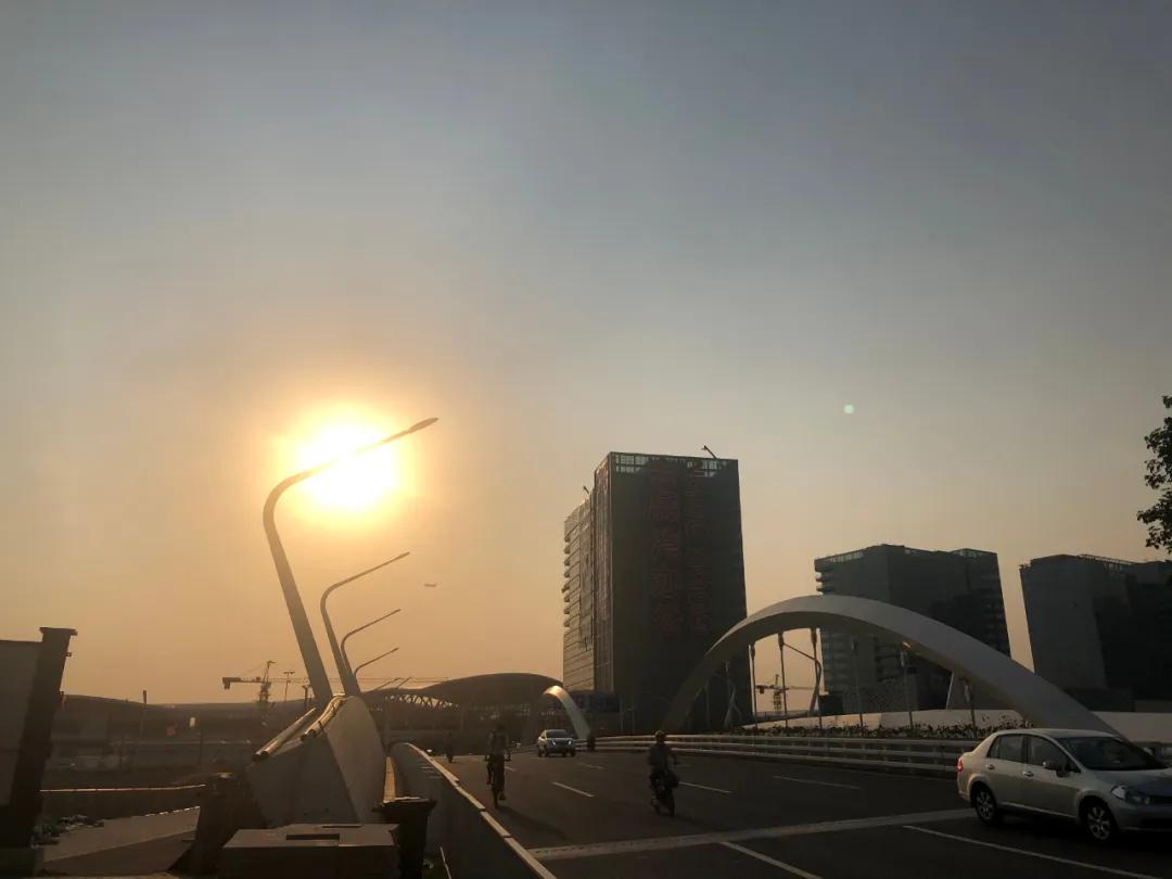 沙井本地人富裕吗,沙井土著