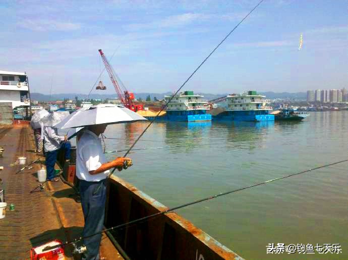 湖北长江钓鱼规定最新,武汉钓鱼规定最新