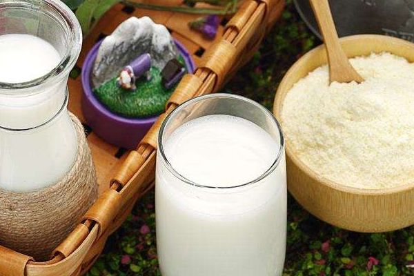 孕妇喝羊奶好还是喝孕妇奶粉好,什么羊奶粉孕妇奶粉好