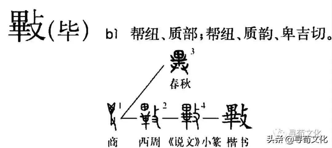 毕-汉字的艺术与中华姓氏文化荀卿庠整理