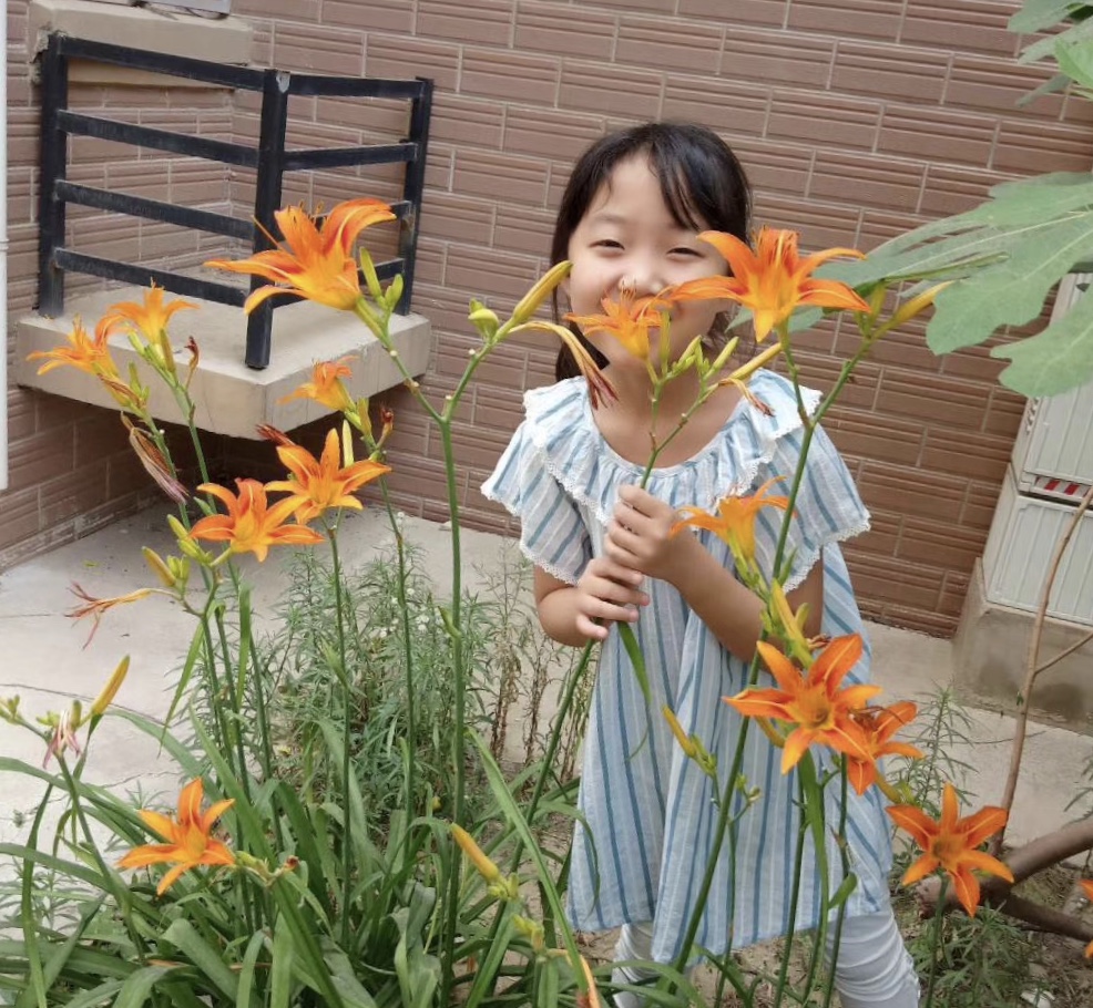 父母离婚对15岁小孩有哪些伤害,如果爸妈要离婚该怎么解决