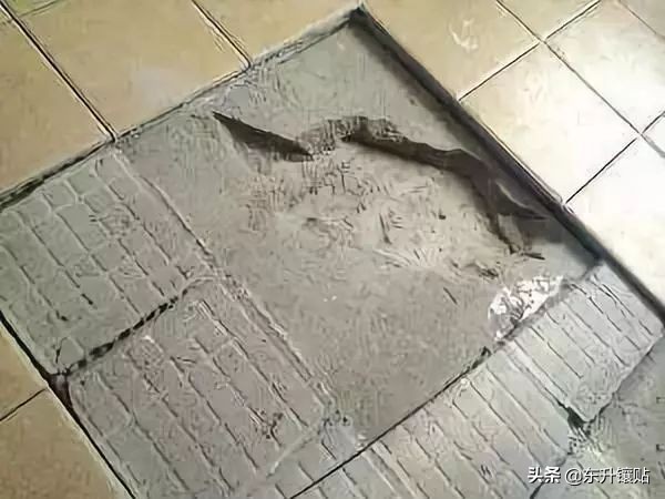 客厅瓷砖大面积空鼓怎么解决,怎么把空鼓瓷砖完整的拆下来