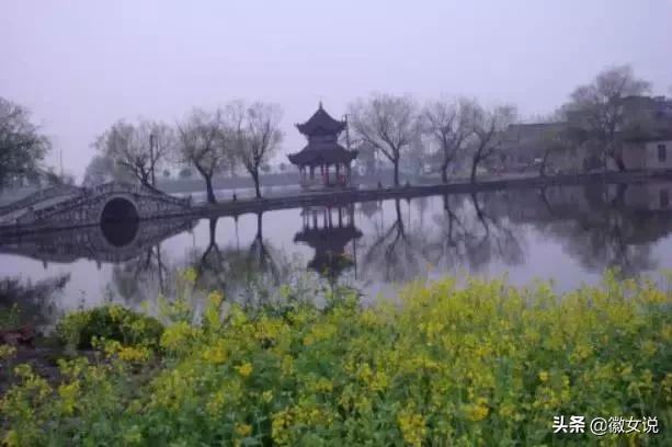 合肥各个区pk郑州,合肥是全国最漂亮的城市吗