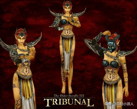 上古卷轴5感人故事,上古卷轴故事讲解