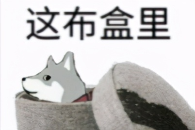 手机屏幕等级多少,手机屏幕分辨率极限