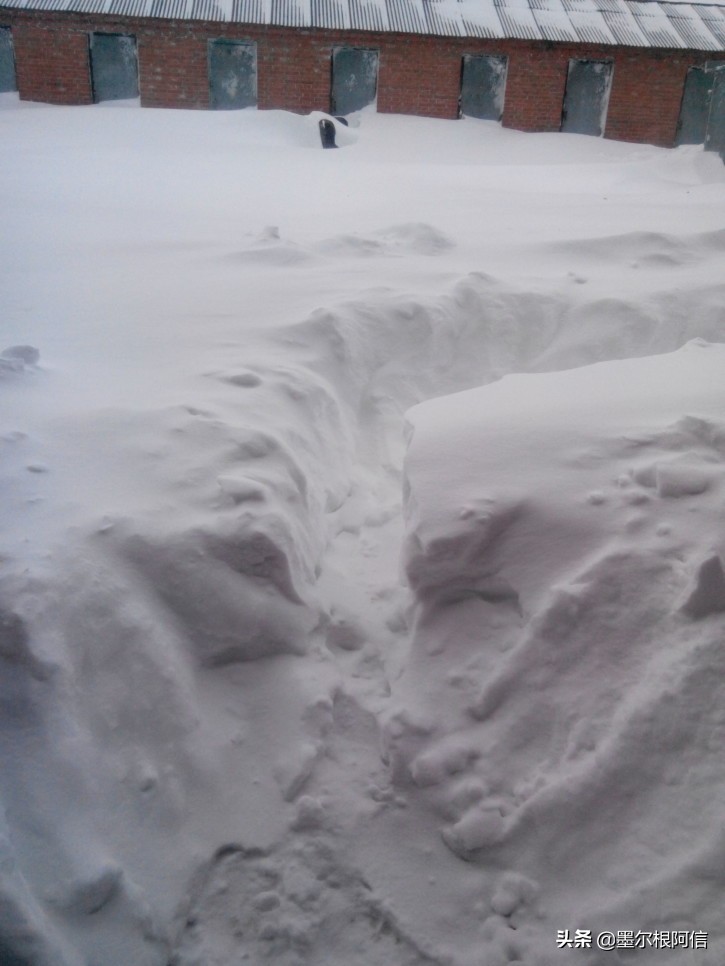 冬天的回忆经典歌曲,冬天的回忆完整版