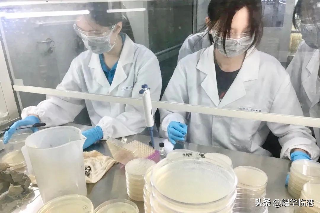 谁说高中生不能参与前沿科研？上海临港耀华学生的深渊极客之旅