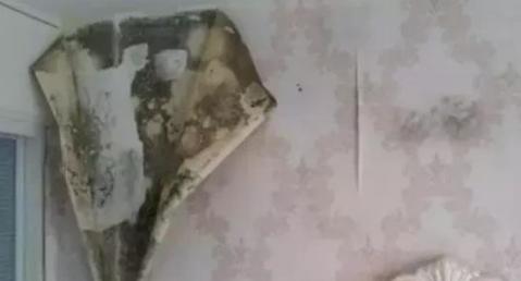 墙面返潮的原因和彻底解决方法,墙面返潮最好的办法