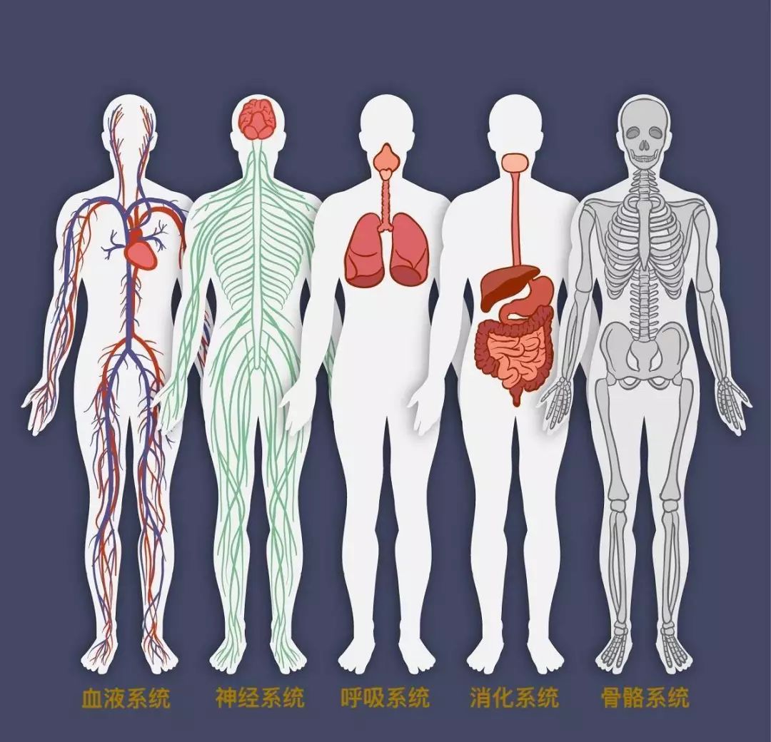 早期肺癌的6个基本知识,早期肺癌要不要告诉患者