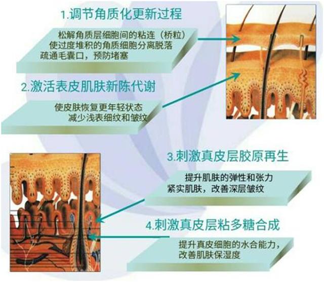 反孔大作战专治你的毛孔粗大