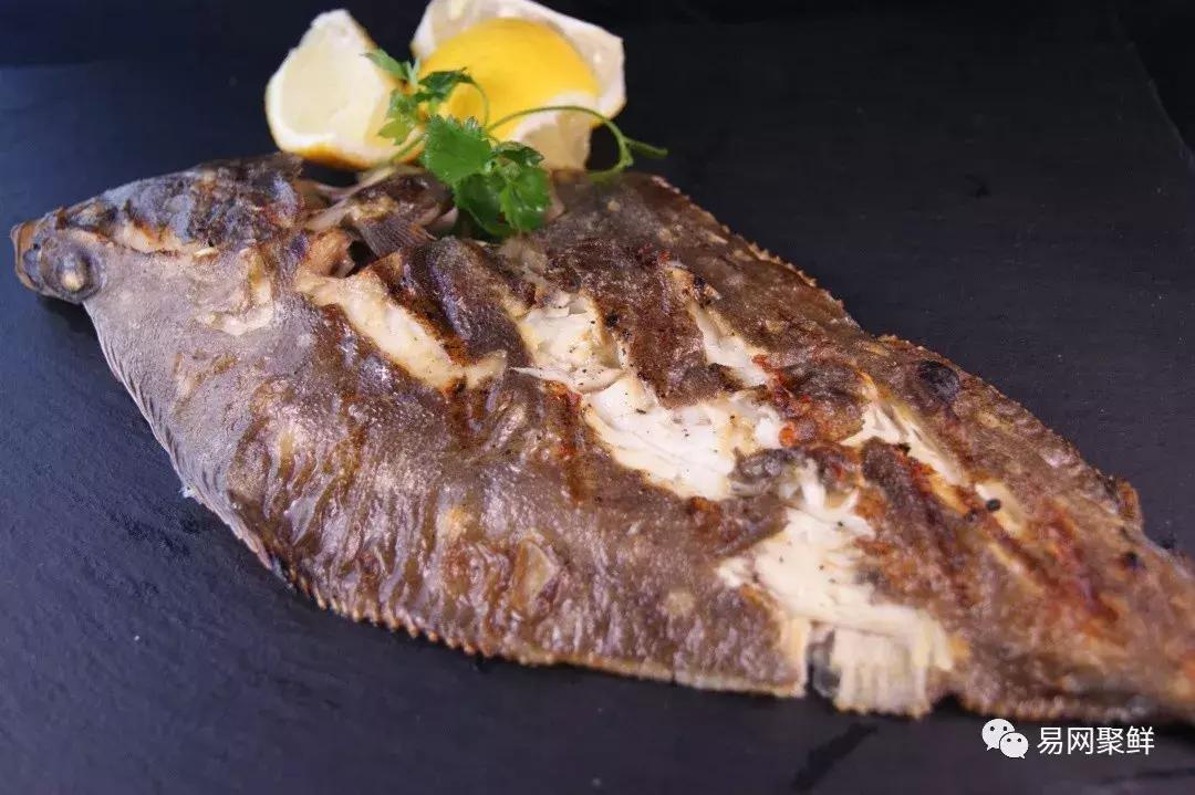 碟中鲽团购,鲽鱼推荐