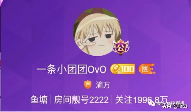 比小团团还火的女主播乔碧萝,斗鱼一姐小团团视频