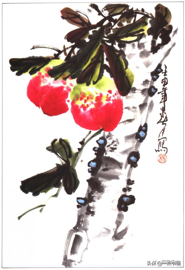 写意蔬果怎么画火龙果,100种写意蔬果画法