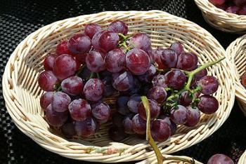 一个让人着迷的地方邀你来欣赏,一个让世人都魂牵梦绕的地方