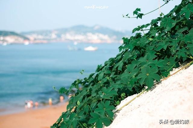 五一浙江舟山枸杞岛,上海小长假到枸杞岛