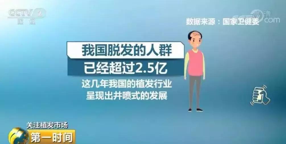 秃如其来视频完整版,秃如其来为哪般