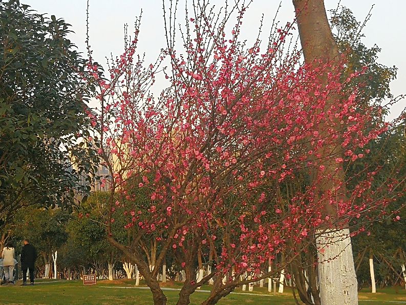 漫步河畔公园全景图,漫步公园美景