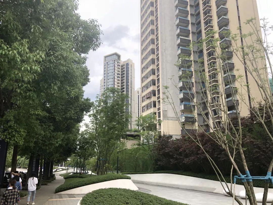 锦江区迎第一个摇号盘,锦江区摇号楼盘有哪些