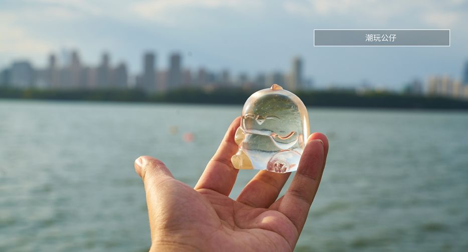 LJK特邀嘉宾｜韩鹏：有梦想的小鸡