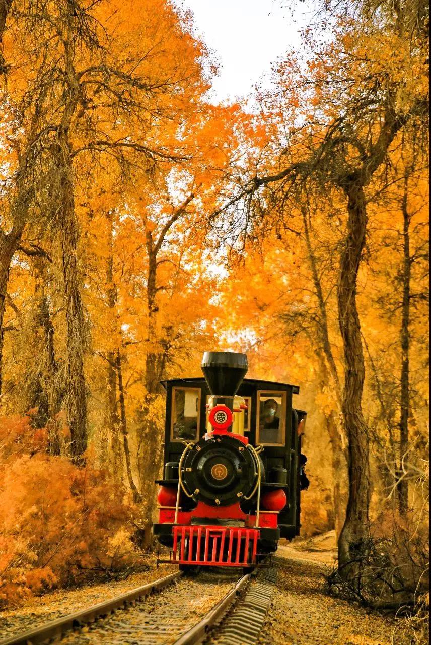 终于攒够了年假,年假怎么攒