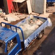 滑稽gif图,鞋子搞笑gif