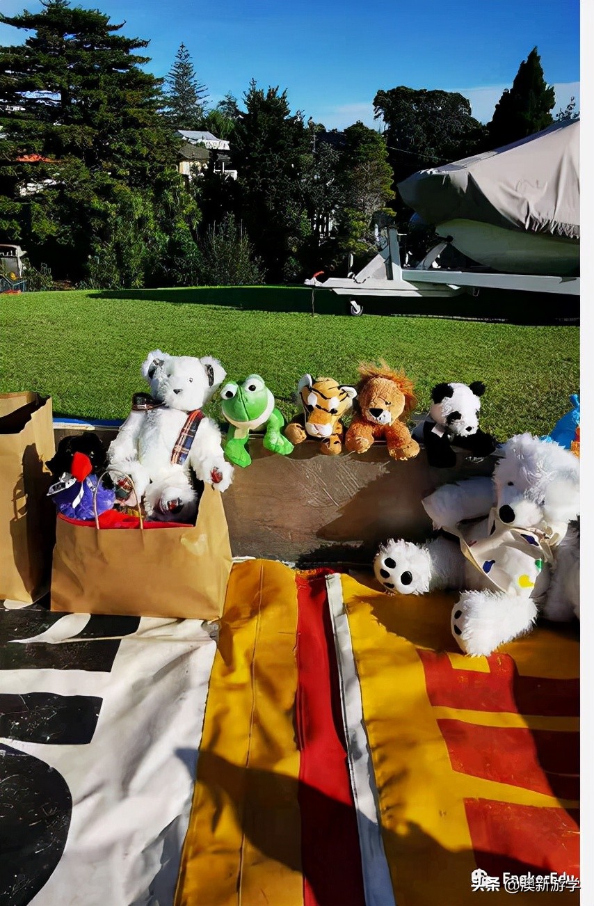 封城期间，玩偶一家的生活大揭秘