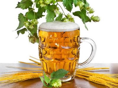 花盆里的土不保水怎么办,花盆土越来越少怎么加土