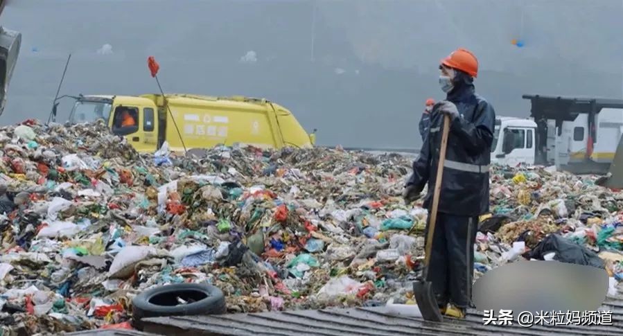 全国人民看江浙沪,上海垃圾分类现在怎样了