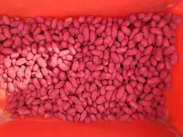 种植花生前怎么浇水,种植花生施底肥方法