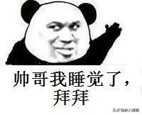 流浪猫怎么和狗和睦相处,流浪猫和流浪狗是怎么出现