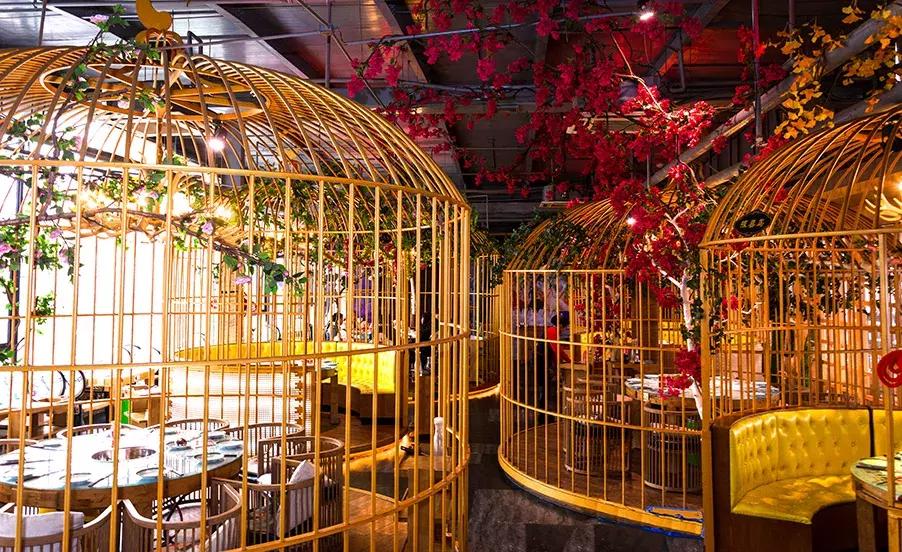 被关在花园“笼子”里吃火锅，这家春熙路的网红店，板眼儿真多！