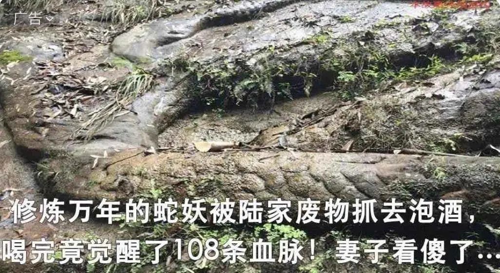 中国的克苏鲁，隐藏在微信的小广告里