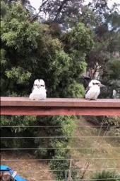 图集|这些厕所，我是不会上的