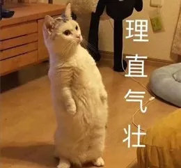 成语表情包,成语表情包动态图片