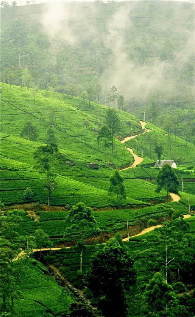 缓解眼睛疲劳壁纸颜色,缓解眼睛疲劳的壁纸高清