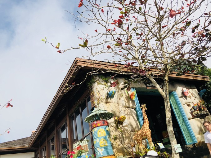 三亚旅游攻略自由行游记,三亚自由行超全干货旅游攻略