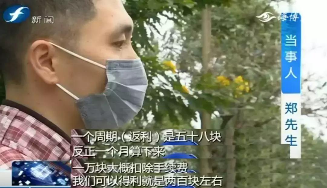 就是这些花……泉州有人为它花了几百万！