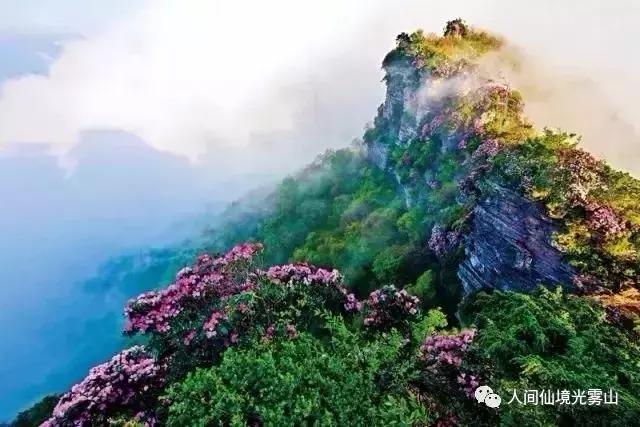 “色香味形”面面俱到！这样的南江你见过吗？