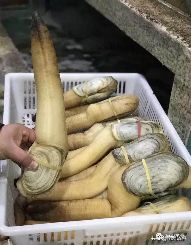 水煮贝壳类海鲜煮多久,海边海鲜用什么水煮好吃