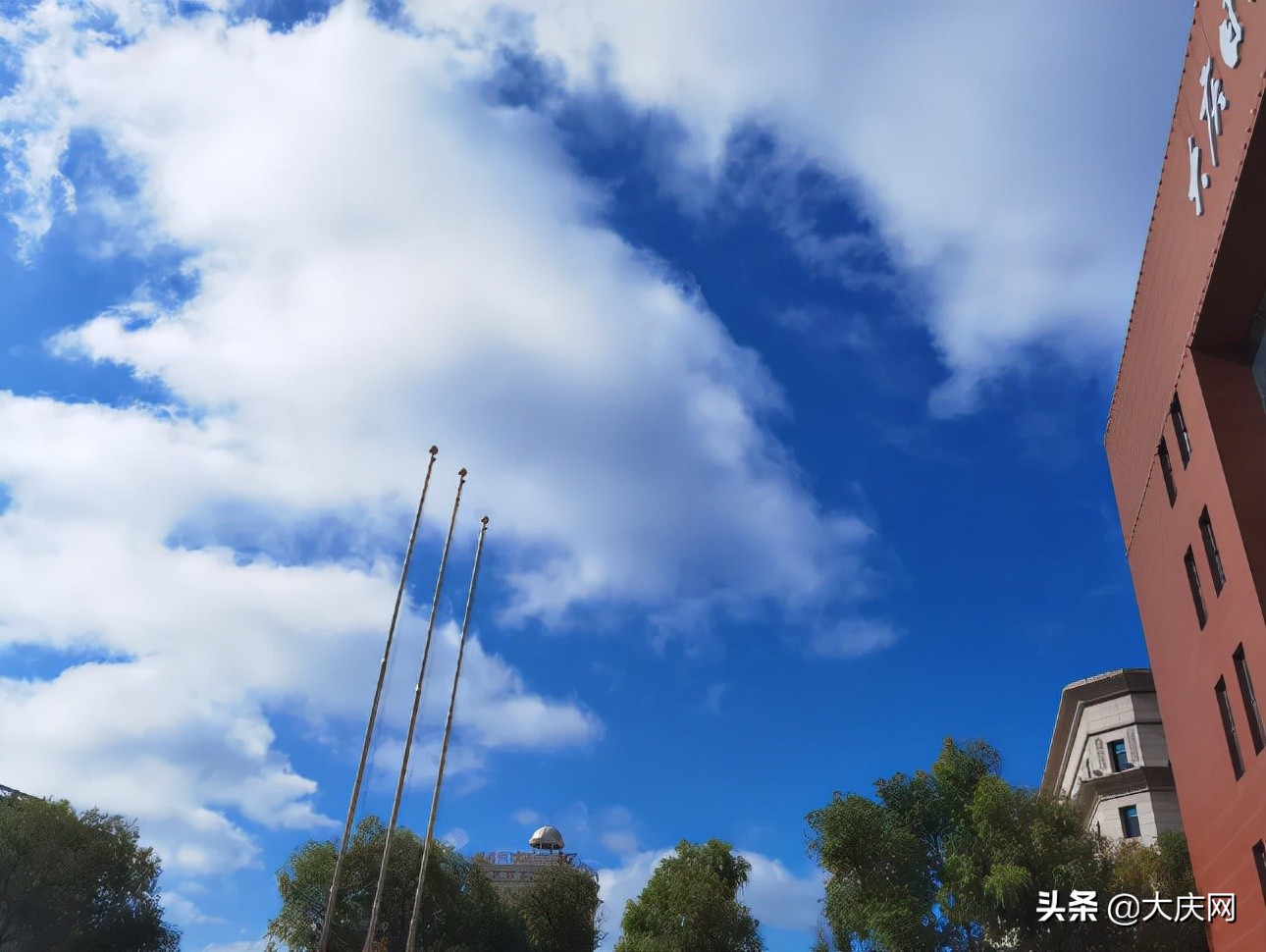 大庆滨水绿道景观,大庆绿道在哪里